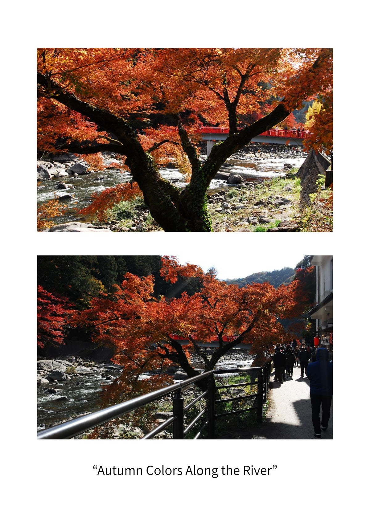 An Autumn Journey Through Korankei | Japan Digital Photo Book – 20 Pages