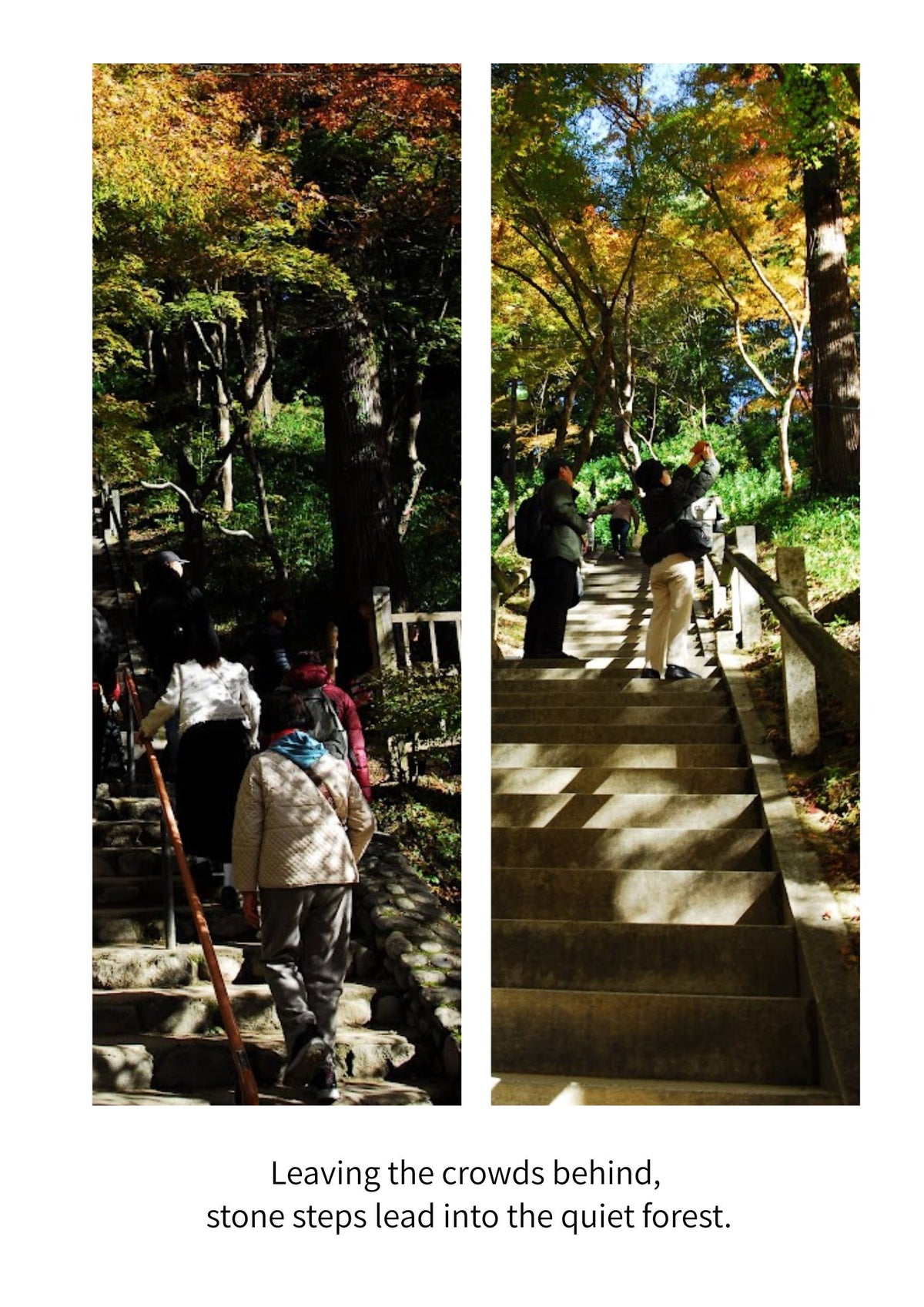 An Autumn Journey Through Korankei | Japan Digital Photo Book – 20 Pages