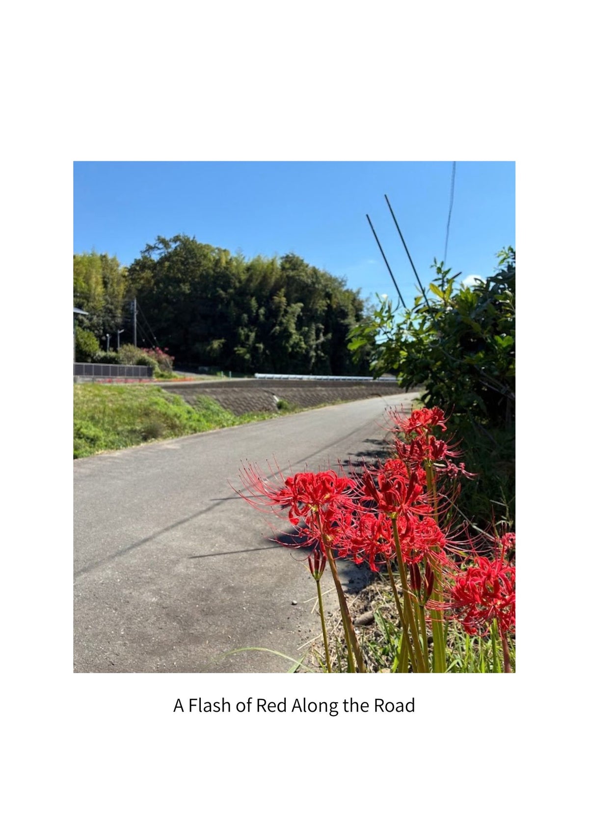 Beyond the Famous Destinations | Fukuroi, Japan Digital Photo Book – 33 Pages